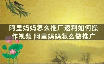 阿里妈妈怎么推广返利如何操作视频 阿里妈妈怎么做推广